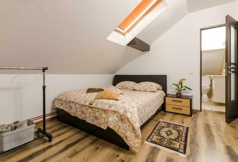 اتاق استاندارد, Casa De Vacanta Mirela