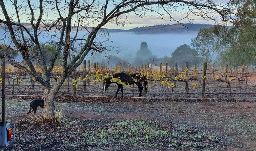 Шале 1 Спальня, Pecan Hill Bnb