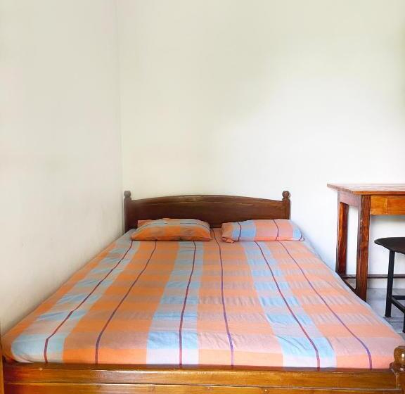 标准间, Dealings Freedom Rest