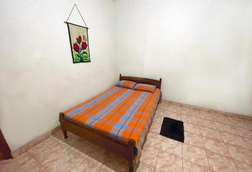 标准间, Dealings Freedom Rest