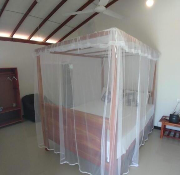 이코노미 룸, Mahee House