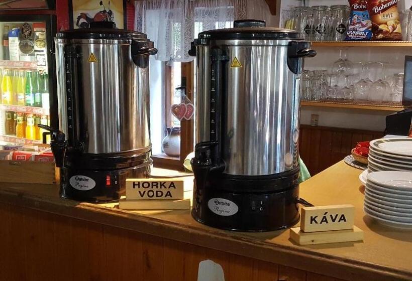 Семейный Номер Совместный Санузел, Pension Pod Kaštany Srbská Kamenice