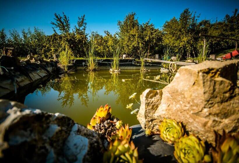 디럭스 룸 킹사이즈 침대, Casa Cu Muri