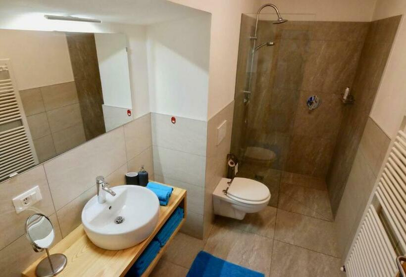 带1个卧室带观景的公寓, Agriturismo Reinhof