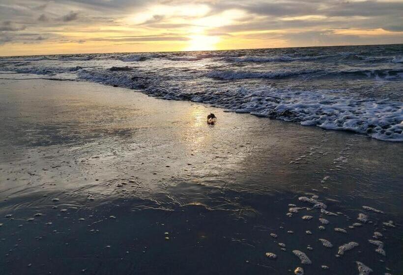 家庭套房, Mar Del Viento
