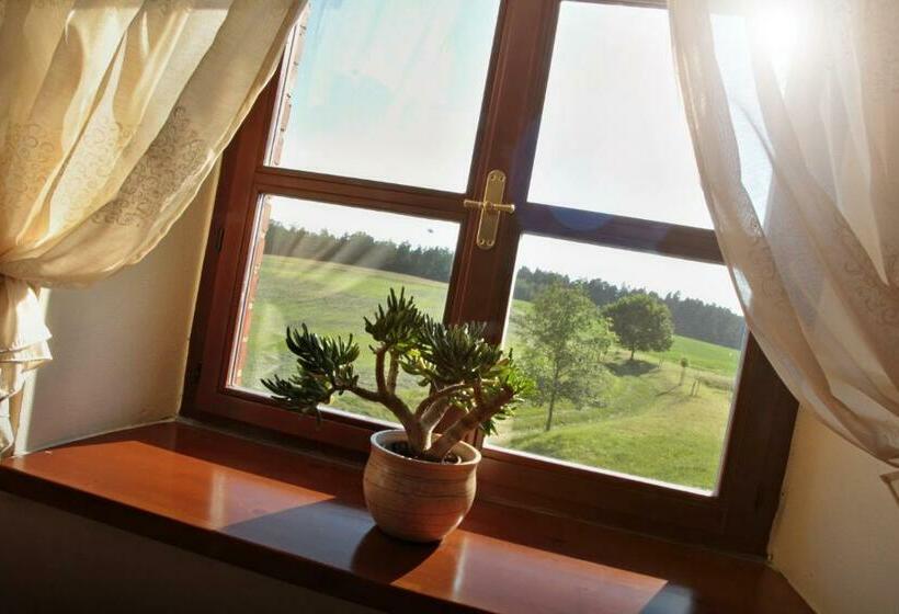 غرفة قياسية, Pension Rothschildův Dvůr