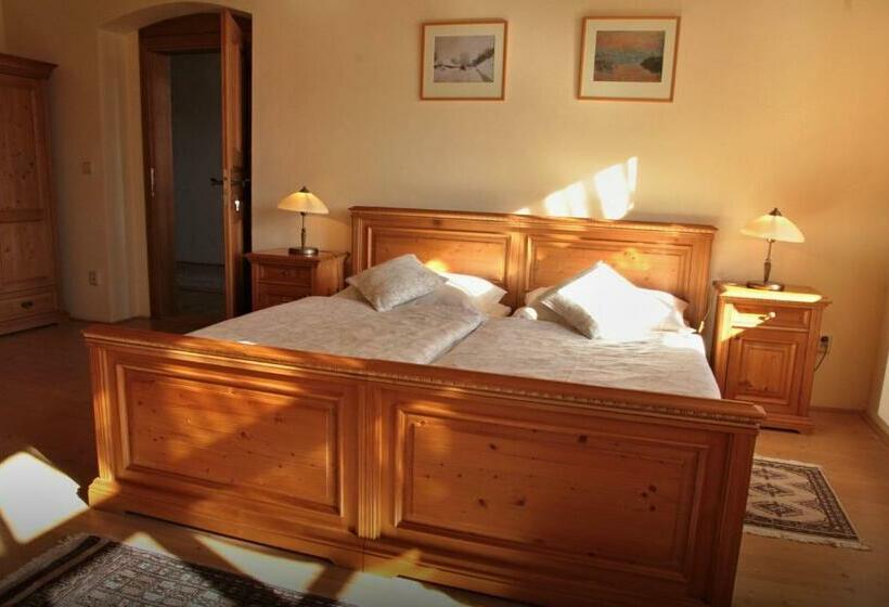 غرفة قياسية, Pension Rothschildův Dvůr