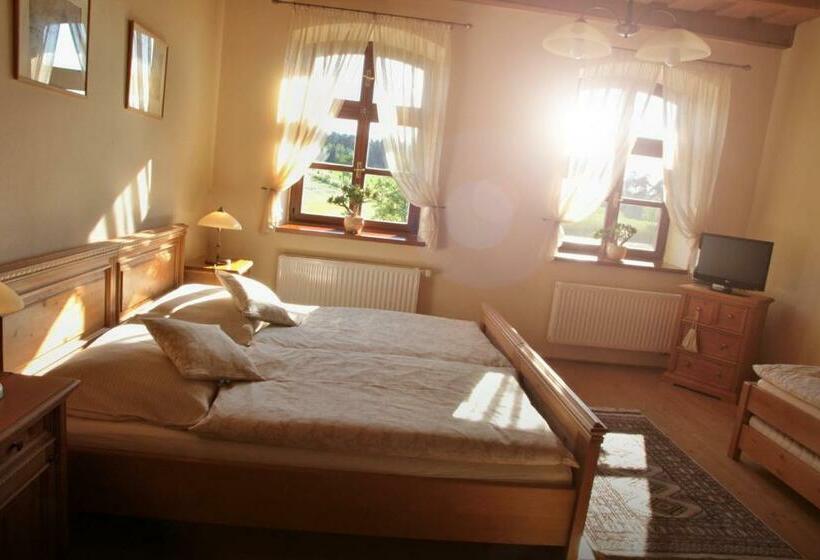 غرفة قياسية, Pension Rothschildův Dvůr