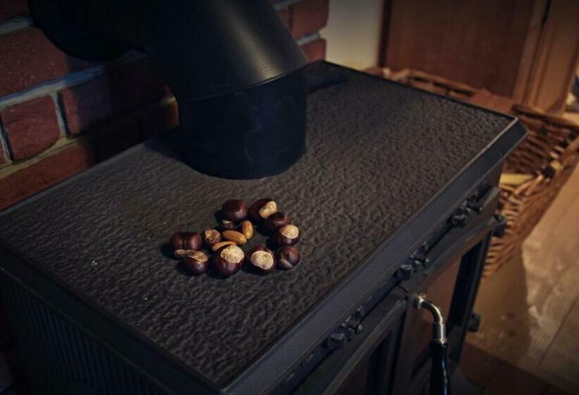 شقة غرفتين, Pension Rothschildův Dvůr