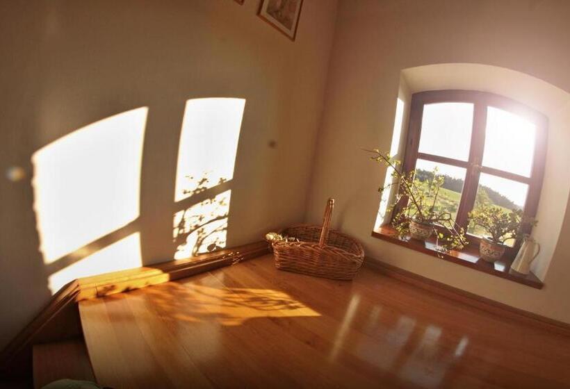 غرفة قياسية, Pension Rothschildův Dvůr