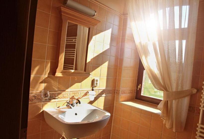 غرفة قياسية, Pension Rothschildův Dvůr