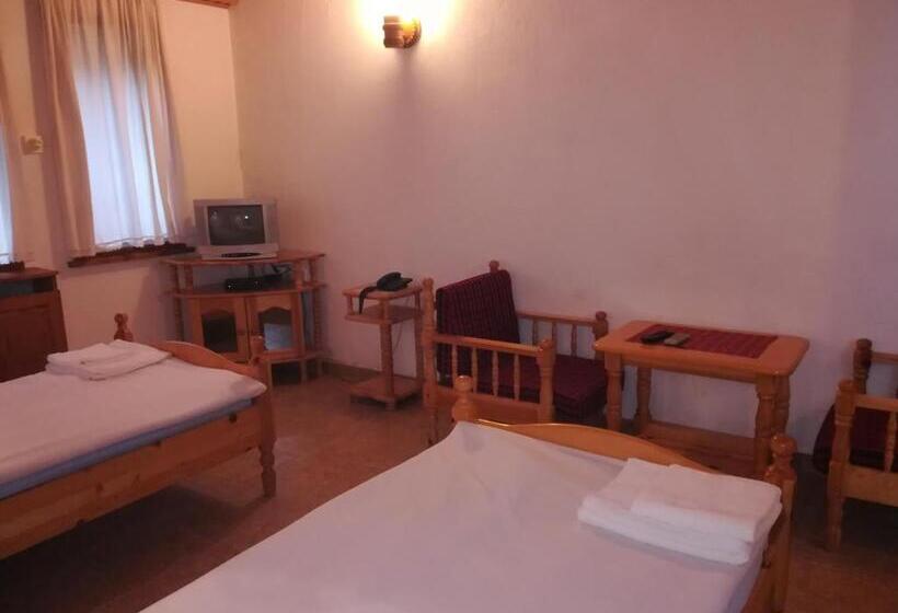 豪华房间, Siniya Han