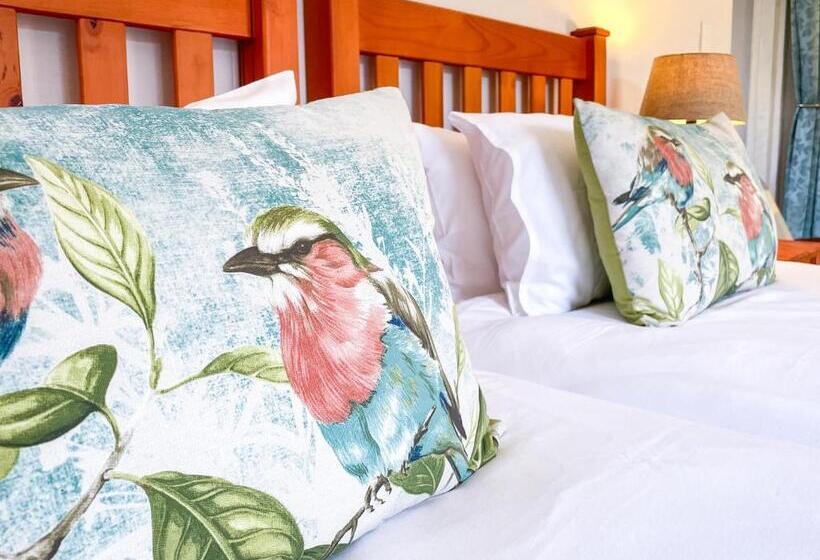 חדר סטנדרט, Molweni   Kamberg Valley B&b