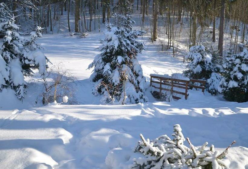 Дом 1 Спальня, Chalupa Pohodička