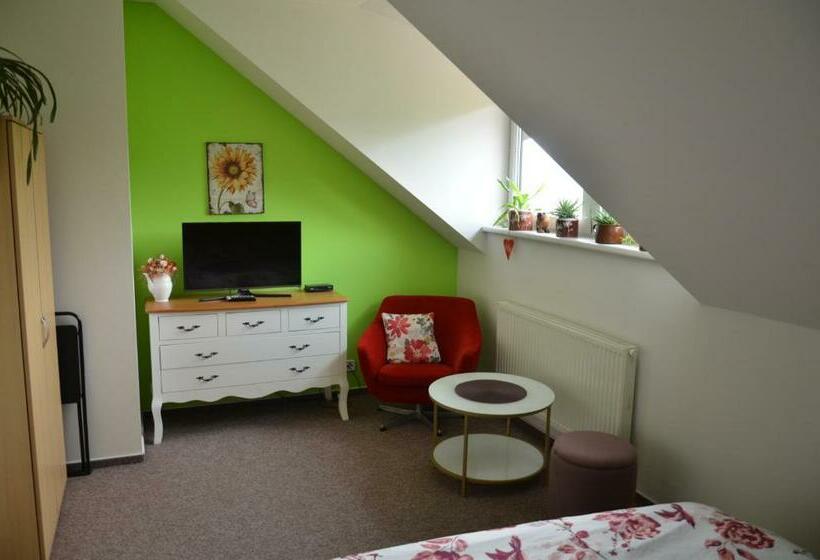 חדר סטנדרט, Penzion Aura