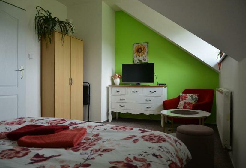 חדר סטנדרט, Penzion Aura