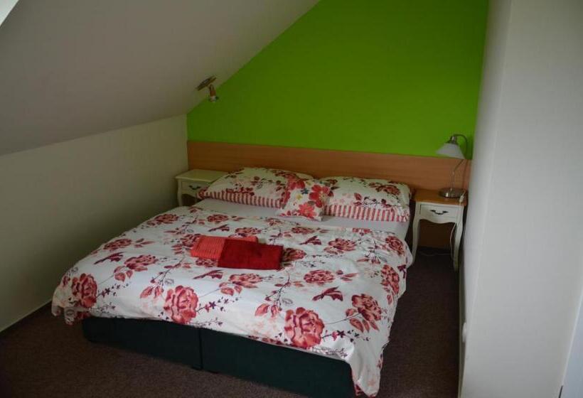 חדר סטנדרט, Penzion Aura