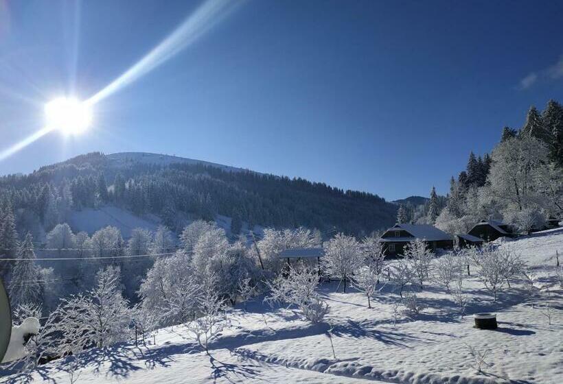 Четырехместный Номер Стандарт, стожари