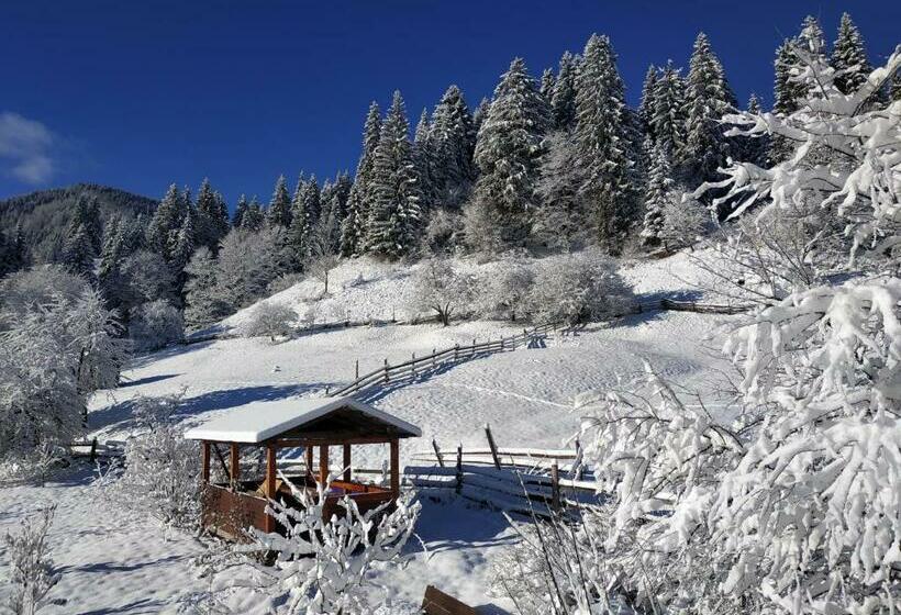 Четырехместный Номер Стандарт, стожари