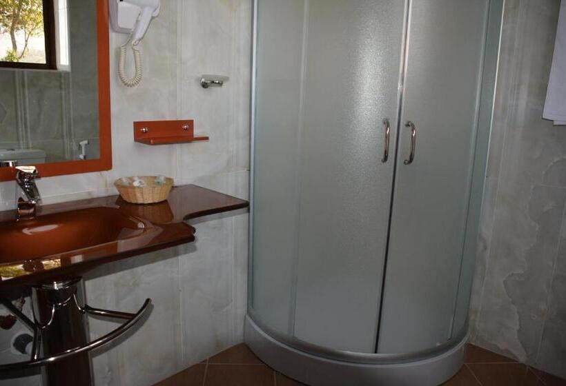 スタンダードルーム, Nejobugg Palace