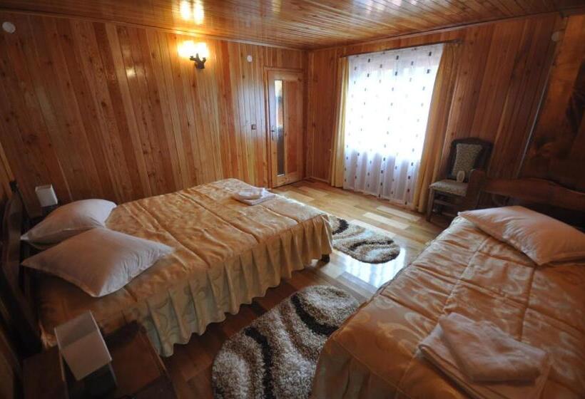 غرفة قياسية ثلاثية, Cabana Sargetia