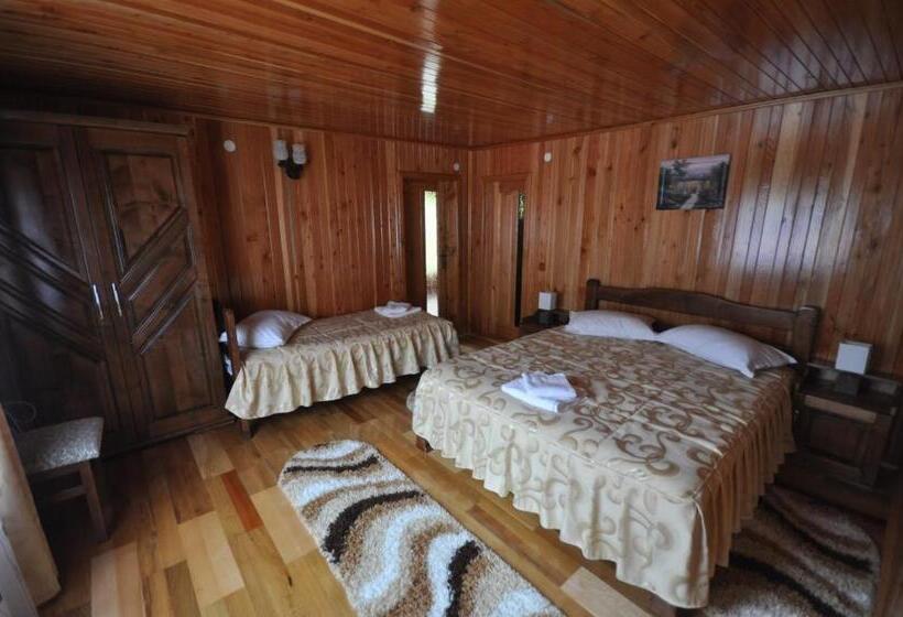 غرفة قياسية ثلاثية, Cabana Sargetia