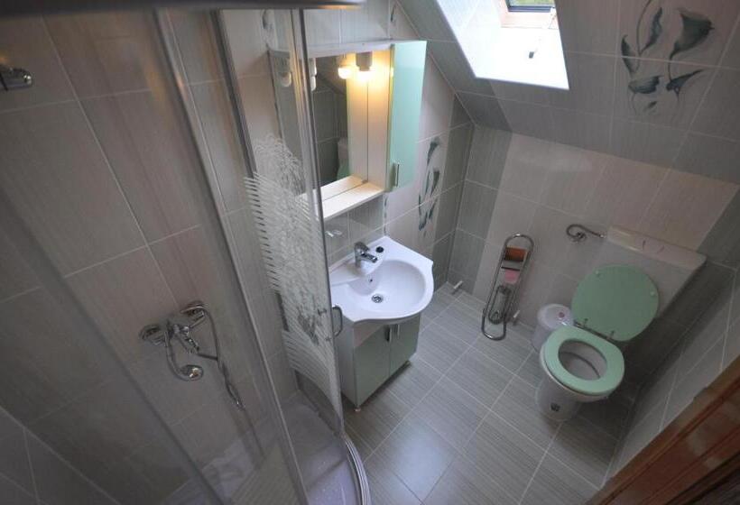 غرفة قياسية, Cabana Sargetia