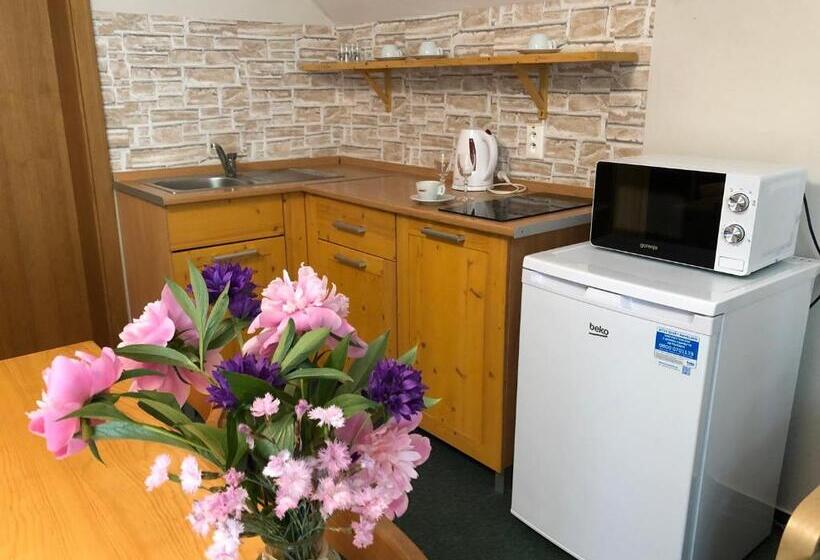 家庭公寓, Penzion Bystrinka