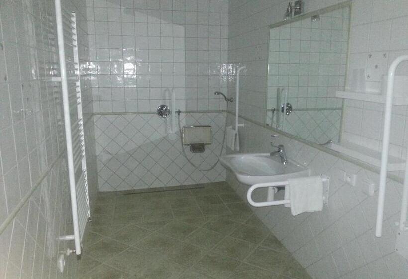 חדר סטנדרט מותאם לאדם עם מוגבלויות, Penzion Malovaný