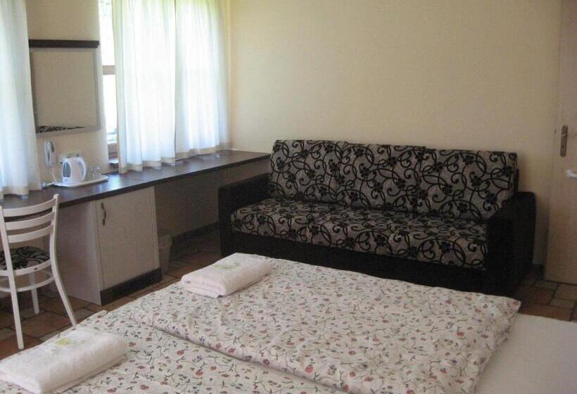 חדר סטנדרט מותאם לאדם עם מוגבלויות, Penzion Malovaný