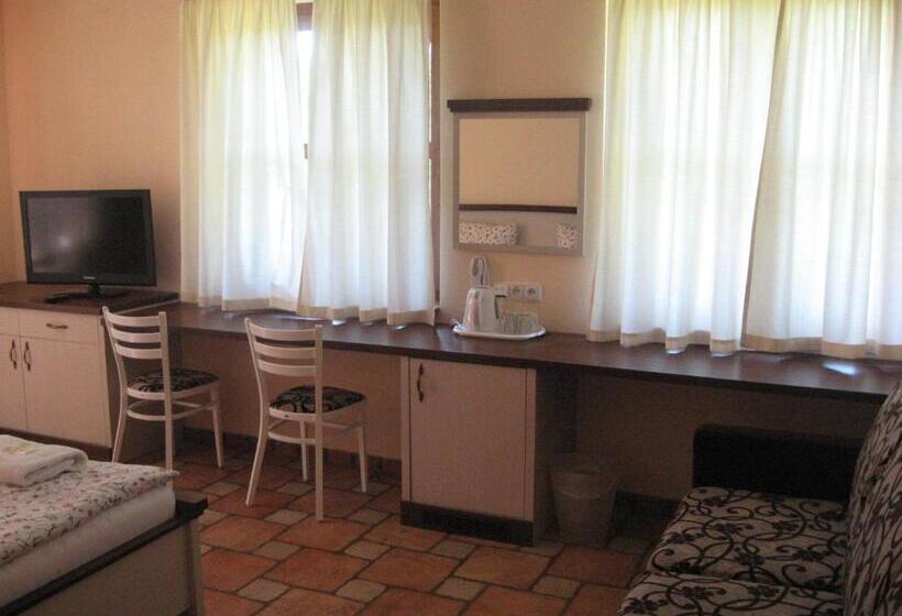 חדר סטנדרט מותאם לאדם עם מוגבלויות, Penzion Malovaný