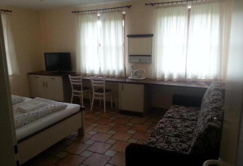 חדר סטנדרט מותאם לאדם עם מוגבלויות, Penzion Malovaný