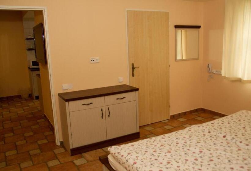 דירת חדר, Penzion Malovaný