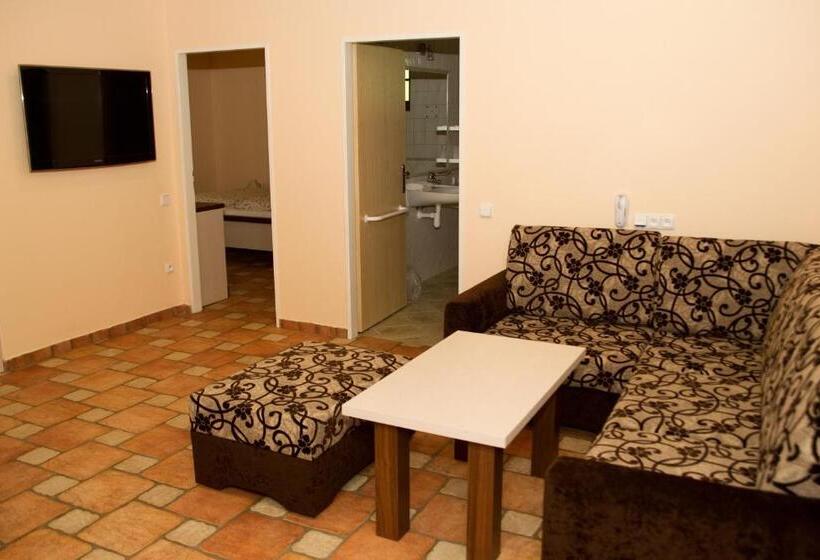 דירת חדר, Penzion Malovaný