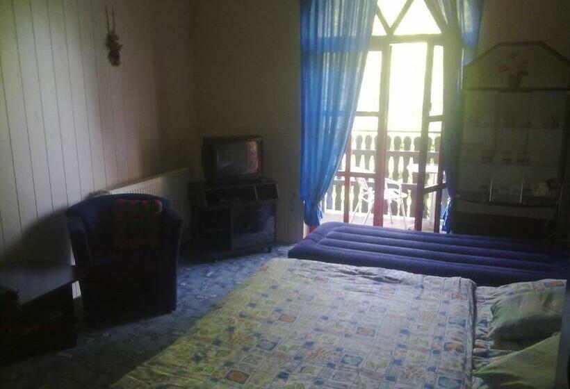 Standard Szoba, Studánka