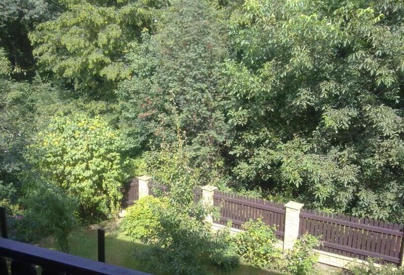 Standard Szoba, Studánka