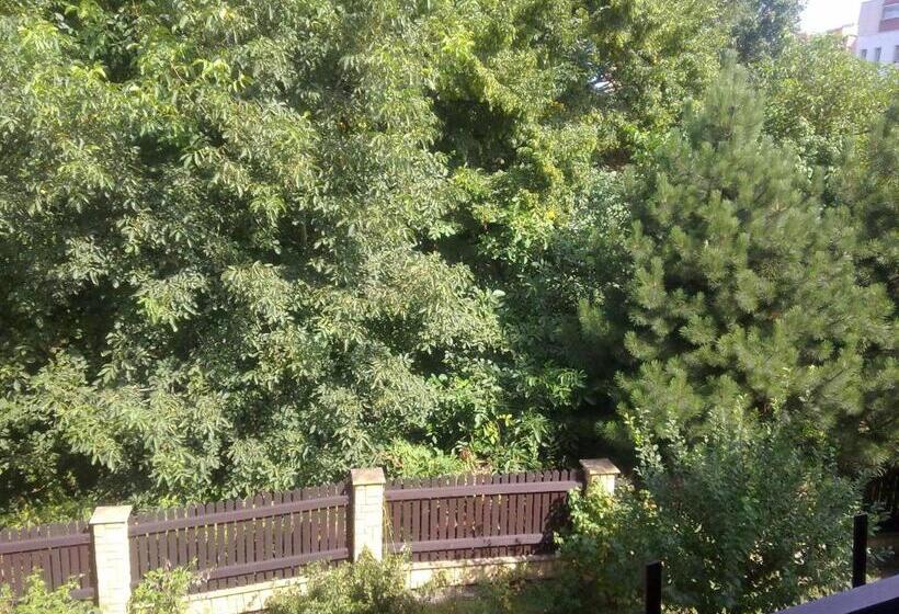 Номер Стандарт, Studánka