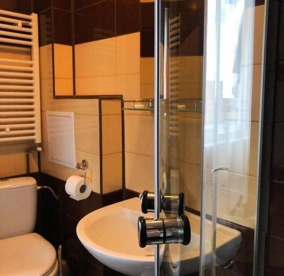 스탠다드 룸, Pensiunea Aliart