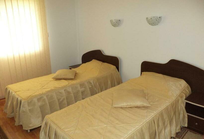 Номер Стандарт с Балконом, Pensiunea Anca