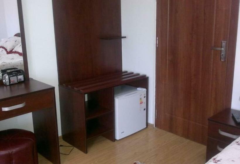 标准间, Pensiunea Elena