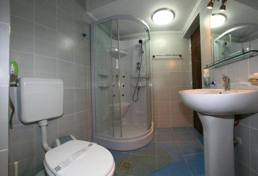 标准间, Pensiunea Elena