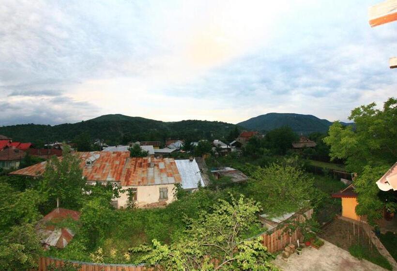 复式套房, Pensiunea Elena