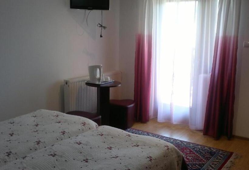 标准间, Pensiunea Elena