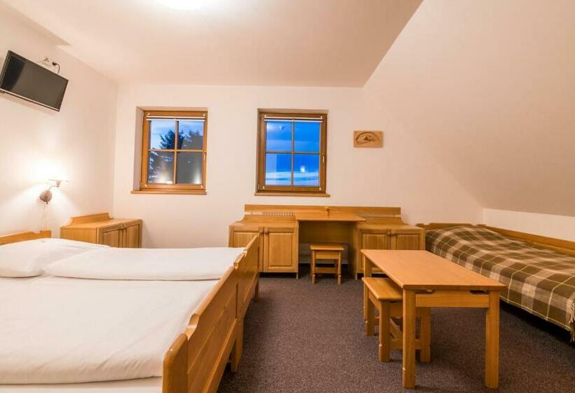 Четырехместный Номер Стандарт, Horský Hotel Kohútka