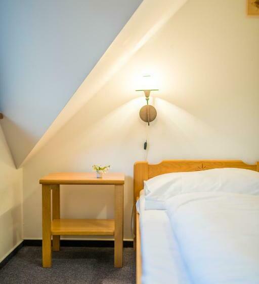 חדר סטנדרט לארבעה, Horský Hotel Kohútka