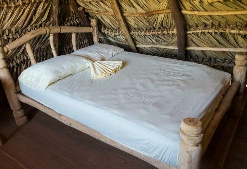 غرفة قياسية, Finca La Magia