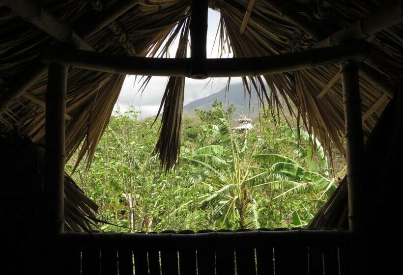 غرفة قياسية, Finca La Magia