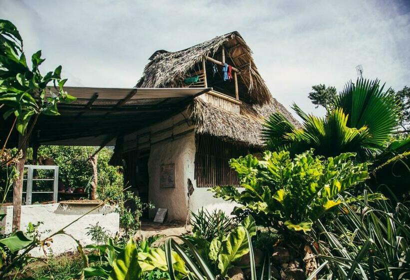 غرفة قياسية, Finca La Magia