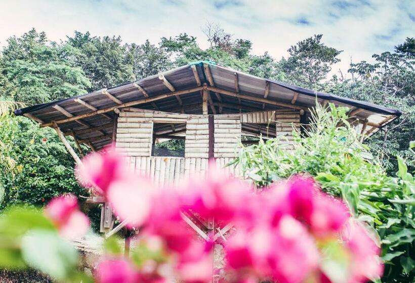 Шале 1 Спальня, Finca La Magia