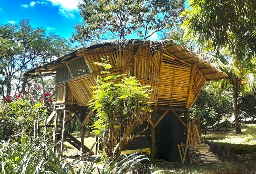 شاليه غرفة نوم واحدة, Finca La Magia